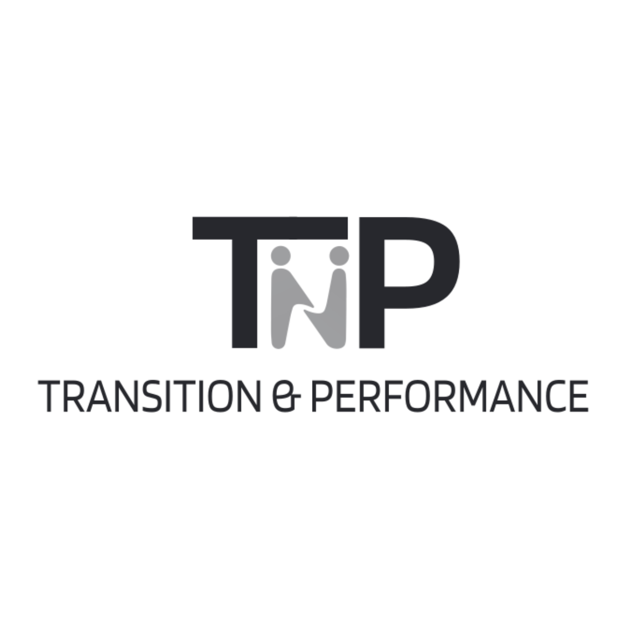Logo TnP Consulting - Certification TalenToBe