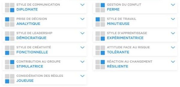 Comportements d’un profil de démonstration dans TalenToBe Manager