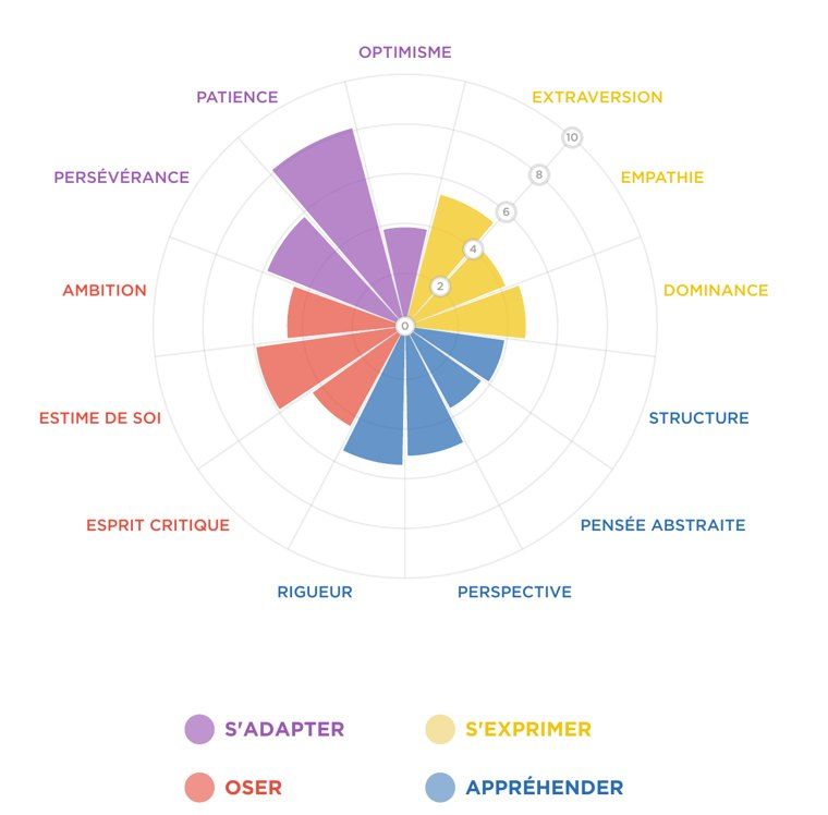 Radar de personnalité d’un profil de démonstration, 13 dimensions sur quatre axes